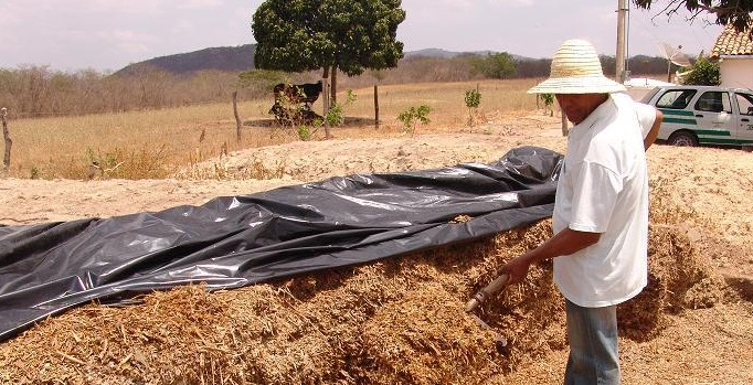 Produtores rurais devem adotar hábitos de prevenção contra o coronavírus