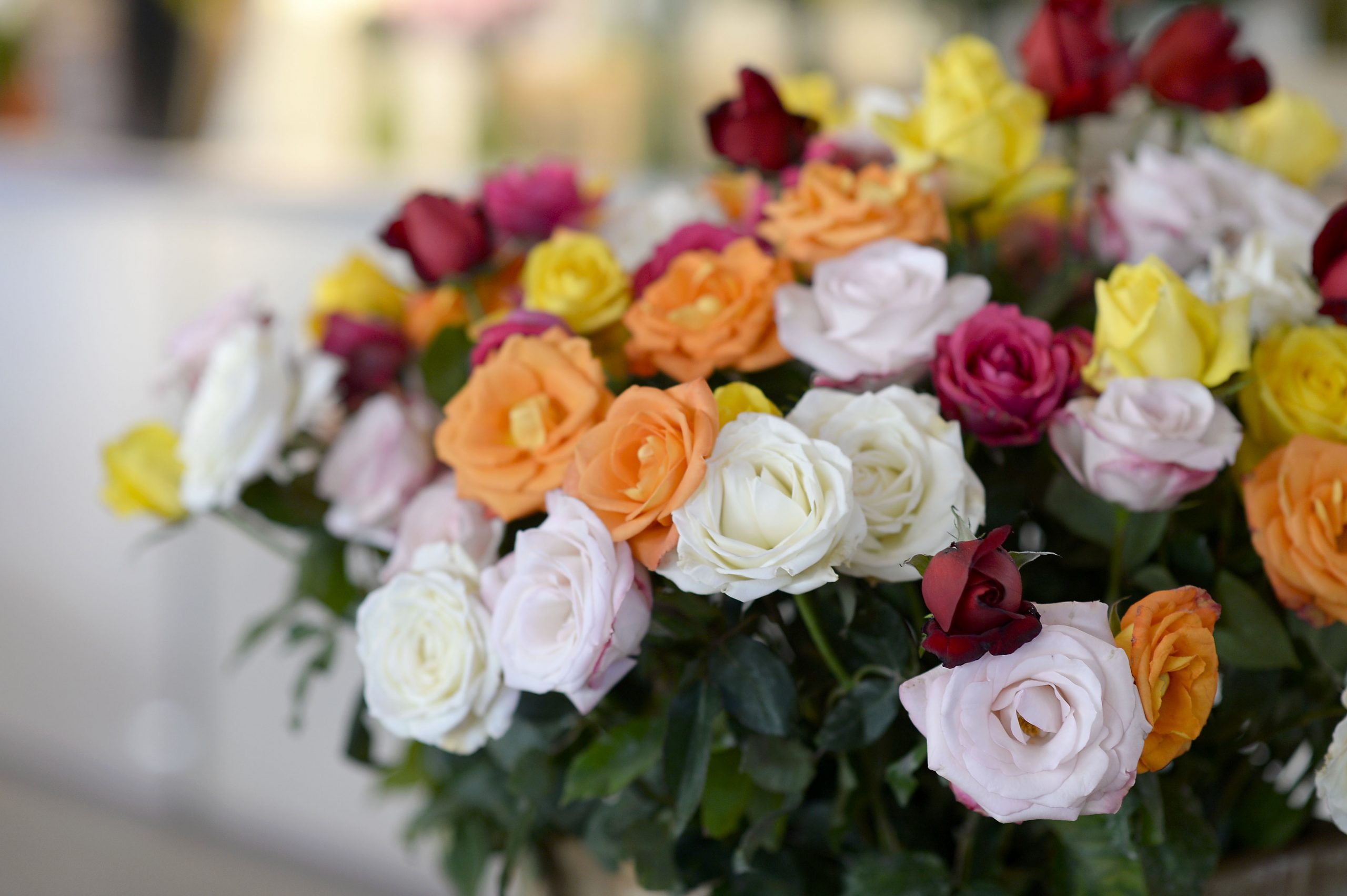 Campanha do Governo de Minas estimula envio de flores no Dia das Mães