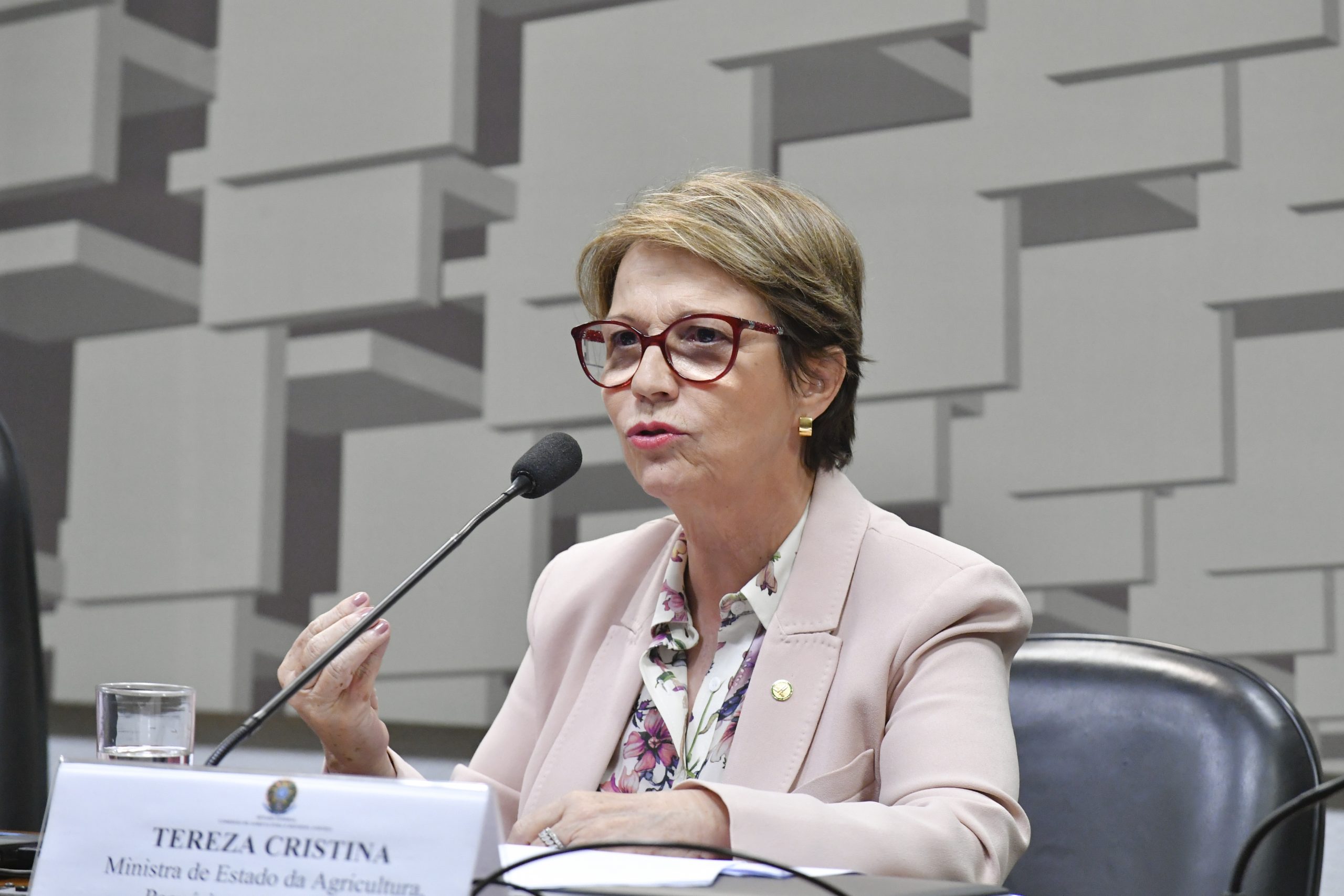 Tereza Cristina, Ministra da Agricultura