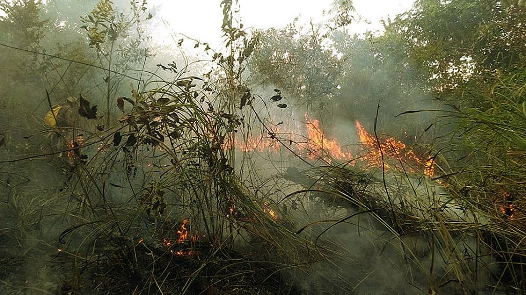 Queimadas no Brasil | Imagem dos bombeiros do Pará