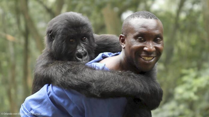 "Virunga", indicado ao Oscar em 2015 | Foto: Orlando von Einsiedel