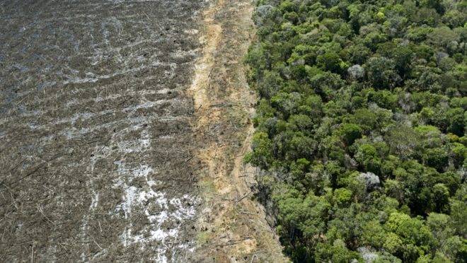 Projeto pioneiro vai pagar para produtores rurais da Amazônia não desmatarem