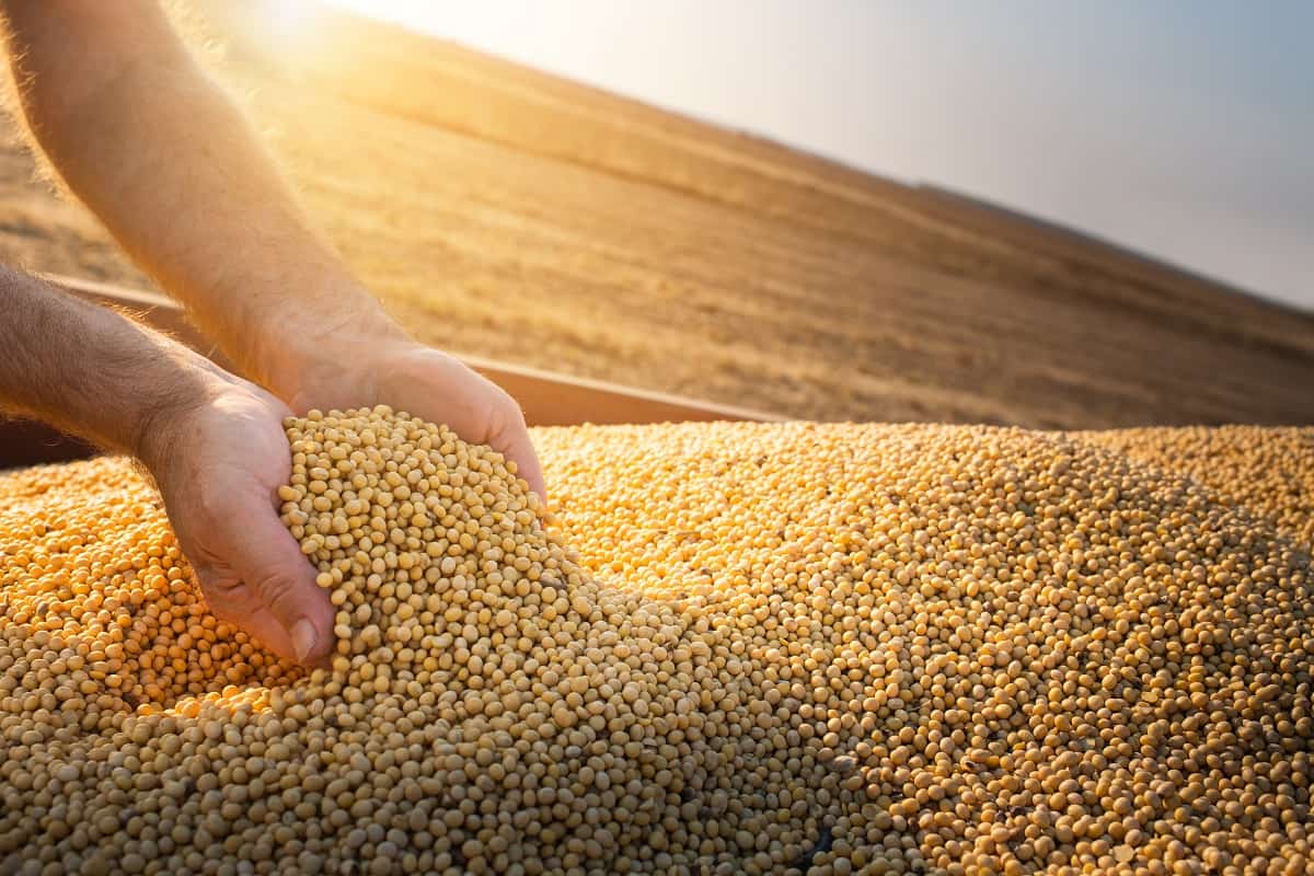 Mercado de fretes do agronegócio no Brasil sobe 27,4% até maio com grãos e fertilizantes