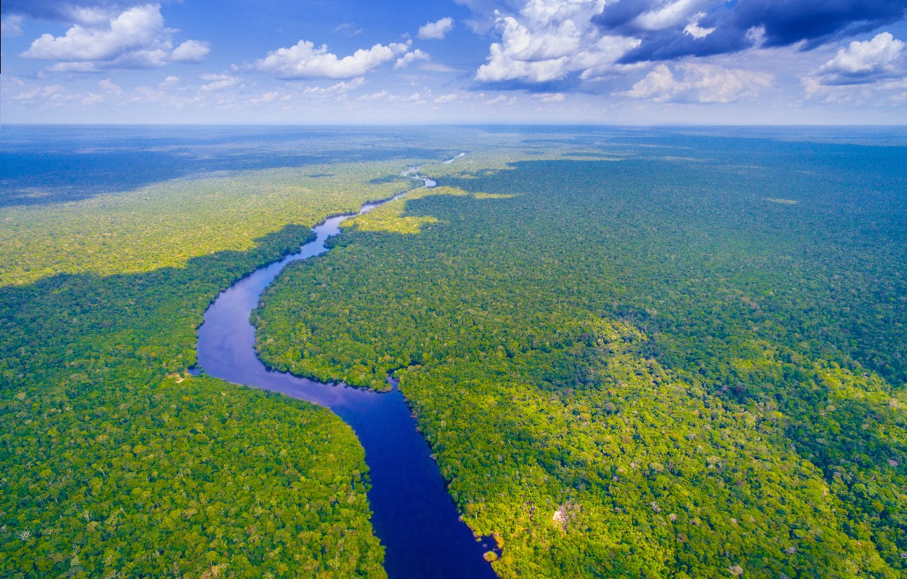 Instituto Amazônia+21