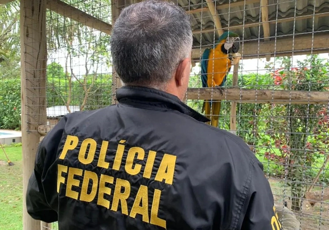 Tráfico de animais