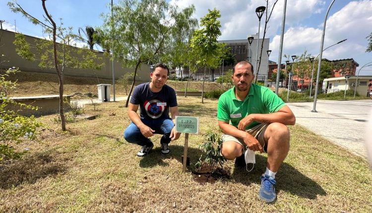 IMED cria Jardim do Doador no Hospital da Brasilândia para marcar ato de solidariedade