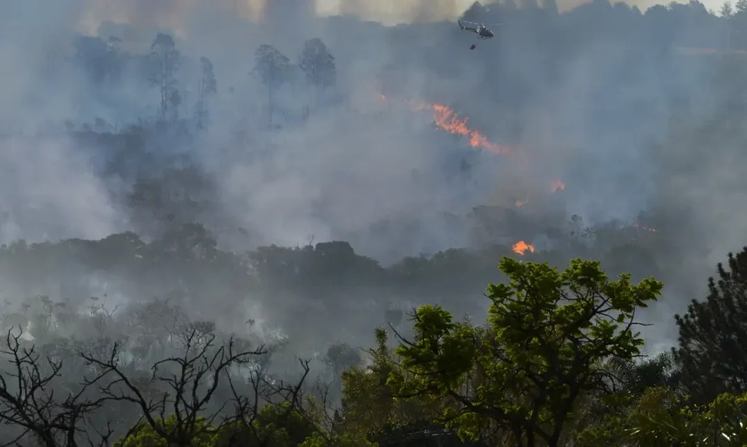 "Territórios sustentáveis" | Amazônia